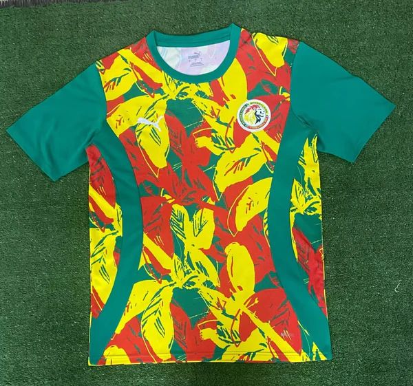 Maillot Sénégal