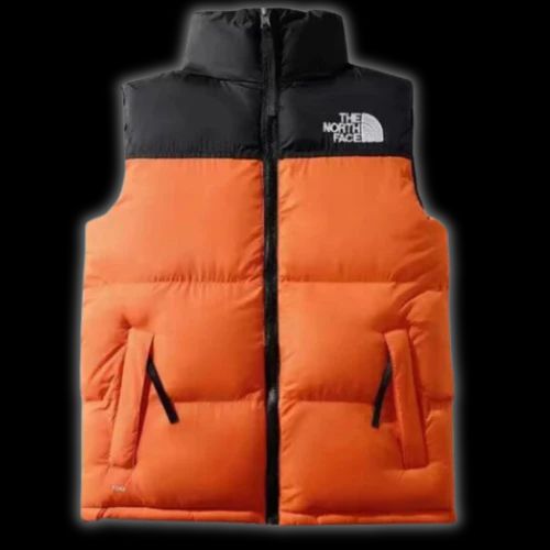 Gilet The North Face